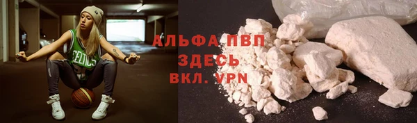 стаф Абаза